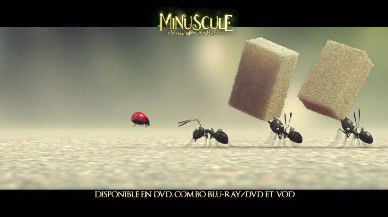 showreel 2021 publicité minuscule