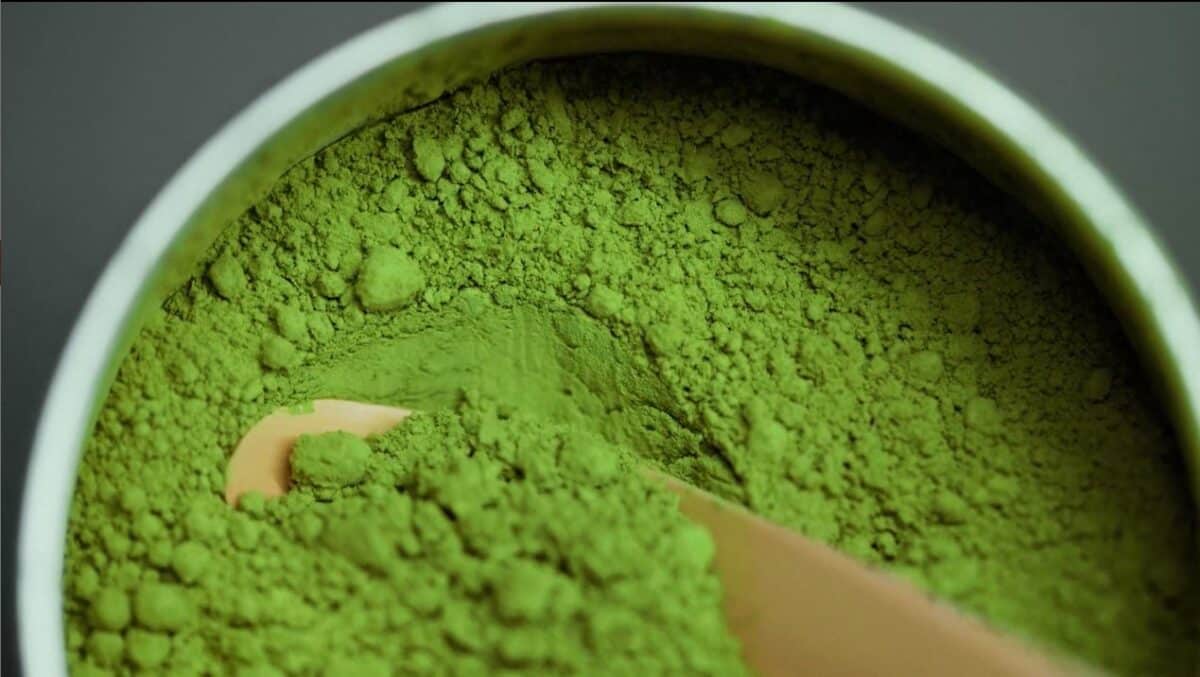 Photo poudre matcha